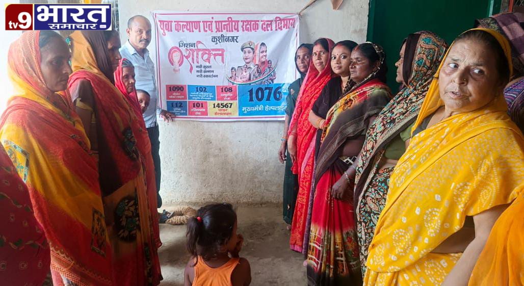 IMG-20251005-WA0348(1)