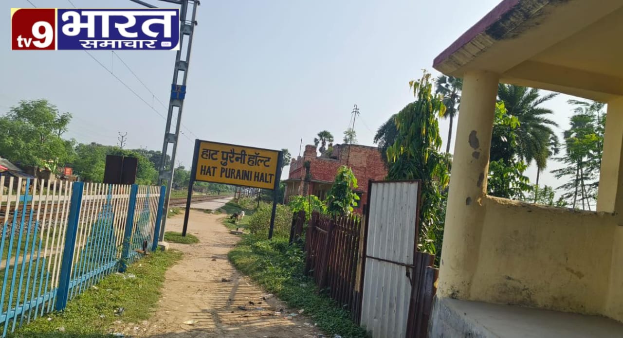 IMG-20251013-WA1062(2)