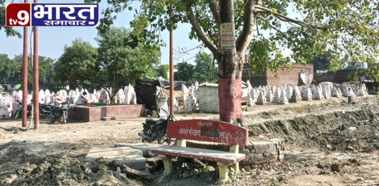 IMG-20251016-WA0963(1)