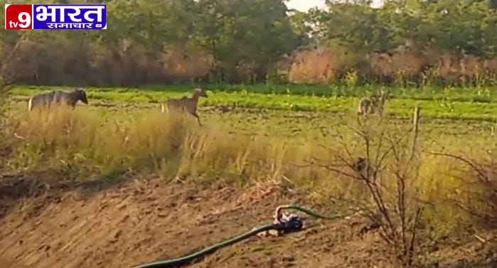 IMG-20251227-WA0023(1)